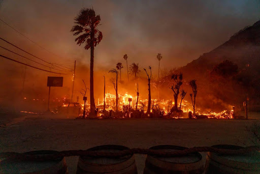 Wildfires Struck Los Angeles As Climate Change Is On The Rise