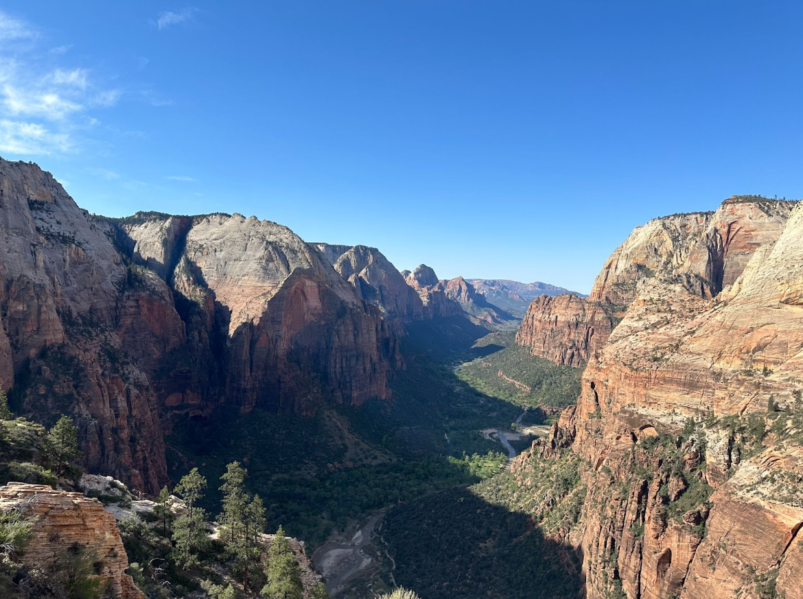 Fired National Park Service Staff and Their Importance
